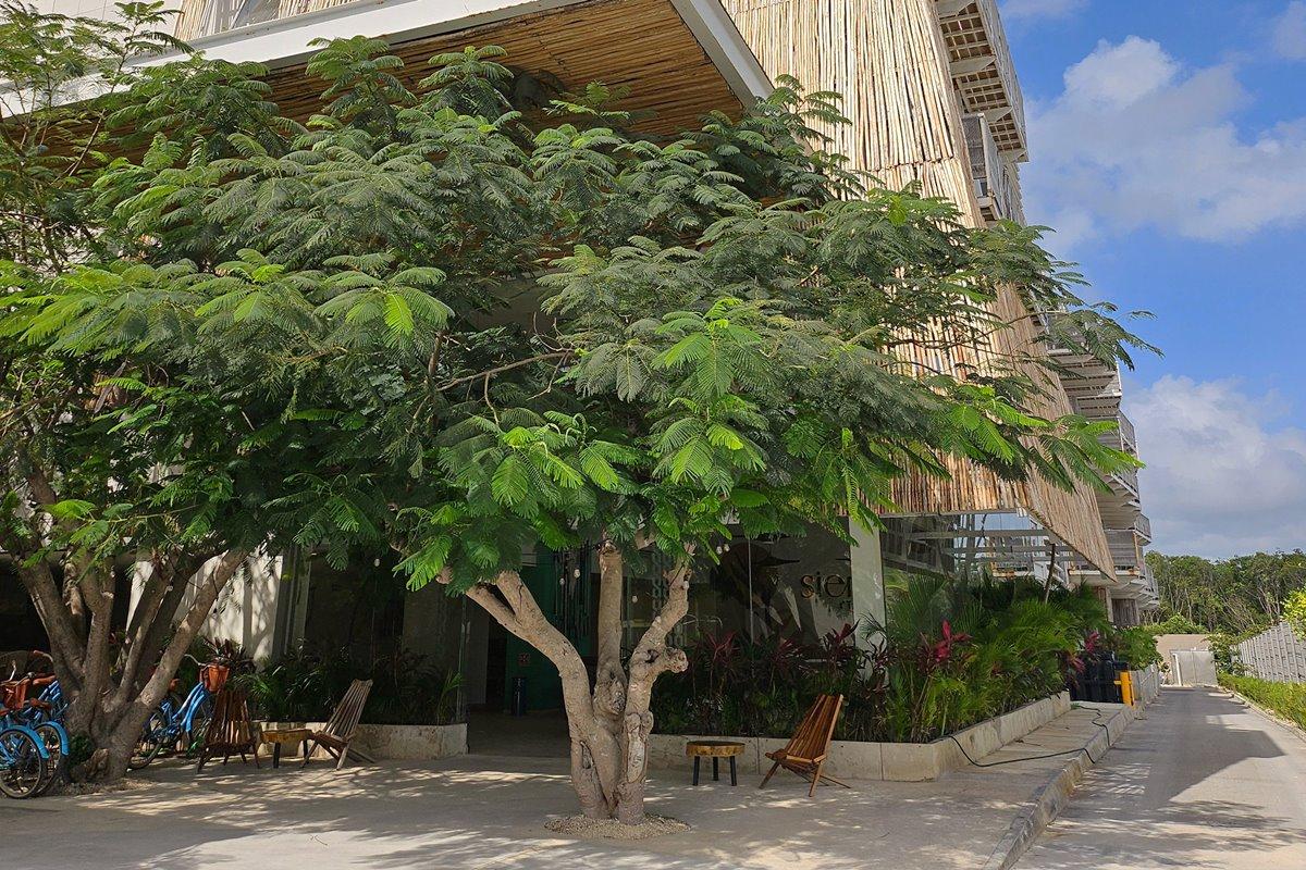 Siente Tulum Hotel Bagian luar foto